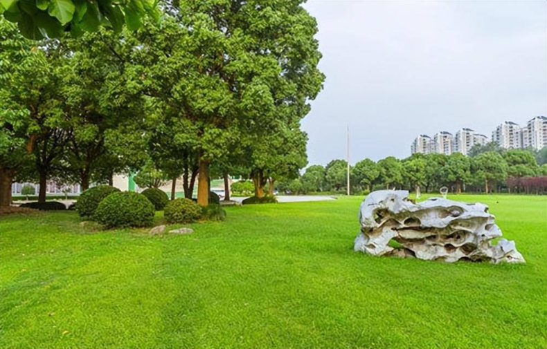 软件技术主要学什么-软件技术专业院校排名-1 软件技术主要学什么-软件技术专业院校排名-广东技校排名网