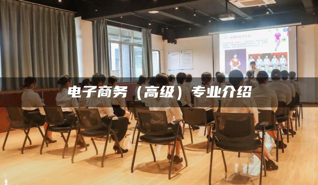 电子商务（高级）专业介绍