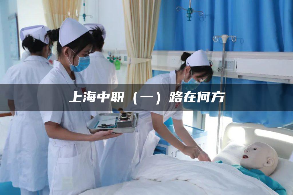 上海中职（一）路在何方