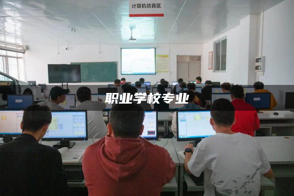 职业学校专业
