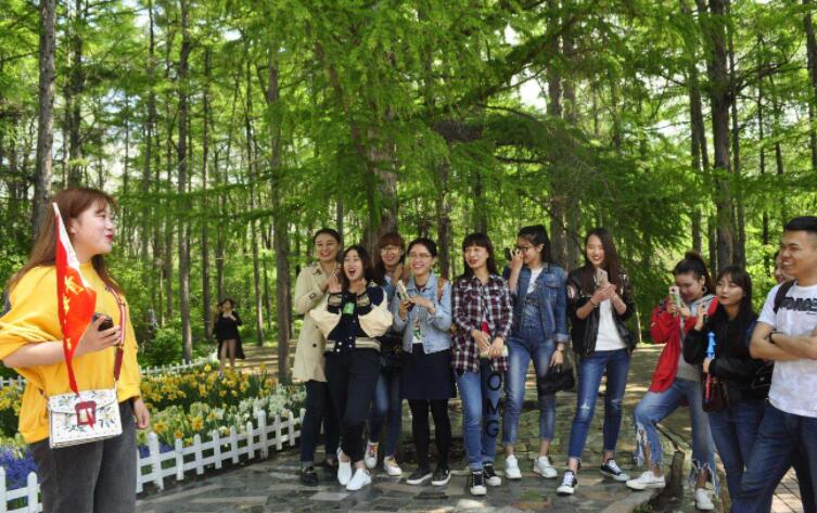 旅游管理专业主要学什么?(附:就业方向和就业前景)-1 旅游管理专业主要学什么?(附:就业方向和就业前景)-广东技校排名网