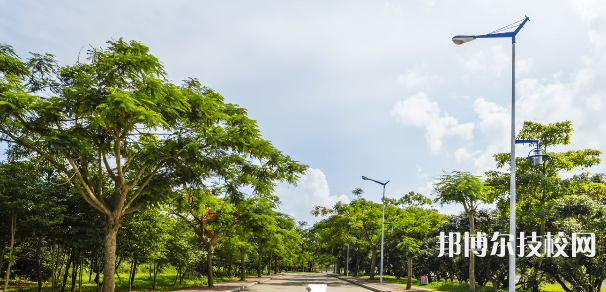 广东司法警官职业学院中职部2023年招生录取分数线-广东技校排名网