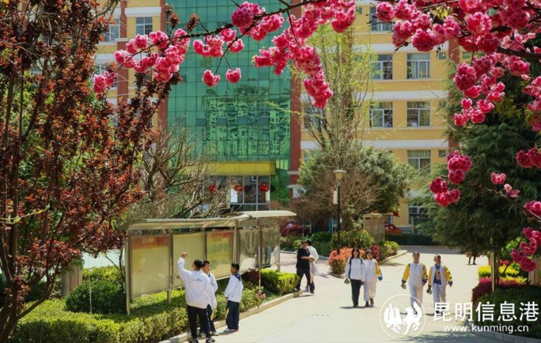 昆明三中空港实验学校好吗（附：招生计划及收费标准）-1