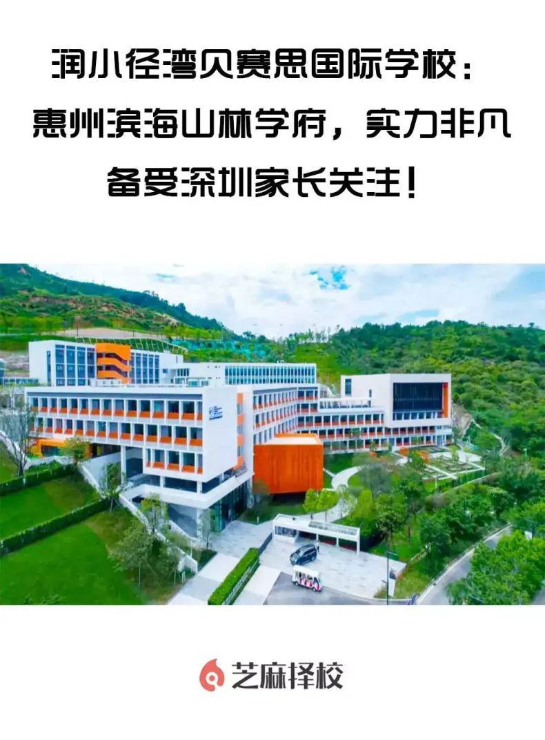 惠州市国际高中哪个好（附：惠州市国际高中学校排名）-1