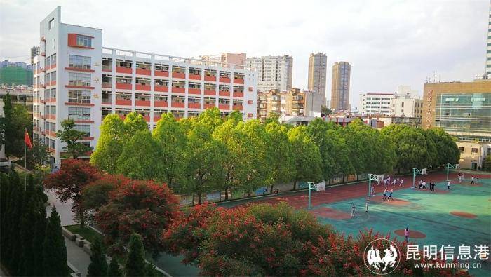 昆明市第十二中学介绍（附招生计划及学校地址）-1