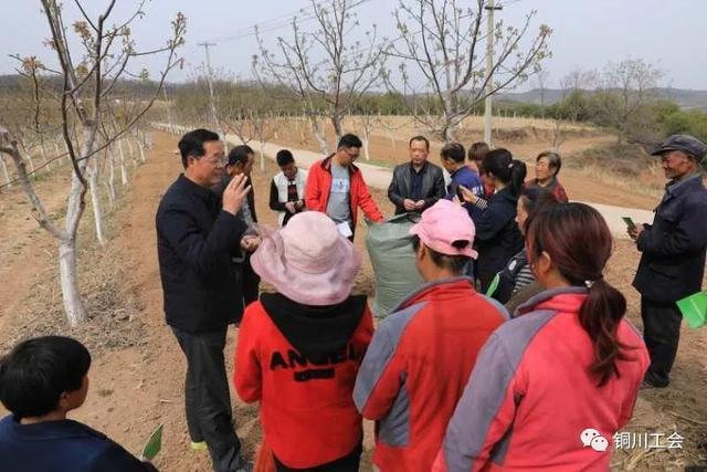 铜川市职工文化技术学校带课进村助力脱贫攻坚-广东技校排名网