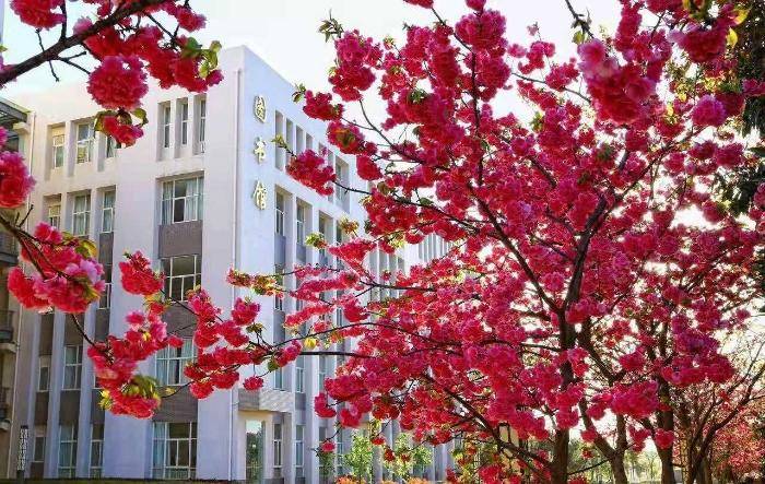 云南交通职业技术学院好不好(附:2023年招生计划)-1 云南交通职业技术学院好不好(附:2023年招生计划)-广东技校排名网
