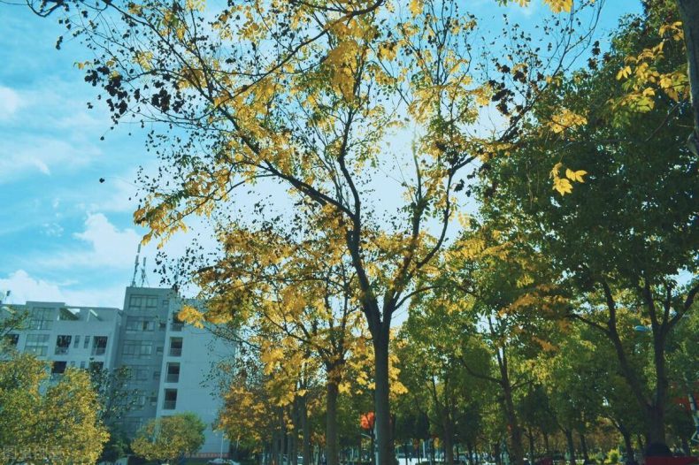 昆明市大专学校哪个好(附:昆明高职院校排名榜)-1 昆明市大专学校哪个好(附:昆明高职院校排名榜)-广东技校排名网