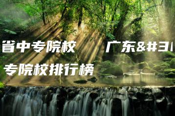 广东省中专院校   广东省中专院校排行榜-广东技校排名网