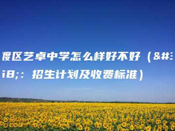 官渡区艺卓中学怎么样好不好（附：招生计划及收费标准）-广东技校排名网