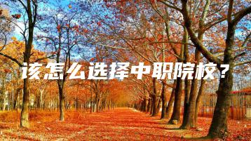 该怎么选择中职院校？-广东技校排名网