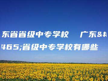 广东省省级中专学校  广东省省级中专学校有哪些-广东技校排名网