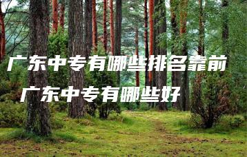 广东中专有哪些排名靠前  广东中专有哪些好-广东技校排名网