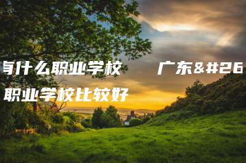 广东有什么职业学校   广东有什么职业学校比较好-广东技校排名网