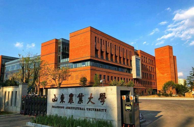 山东省最有名的大学有哪些（附：山东本科院校排名榜）-1