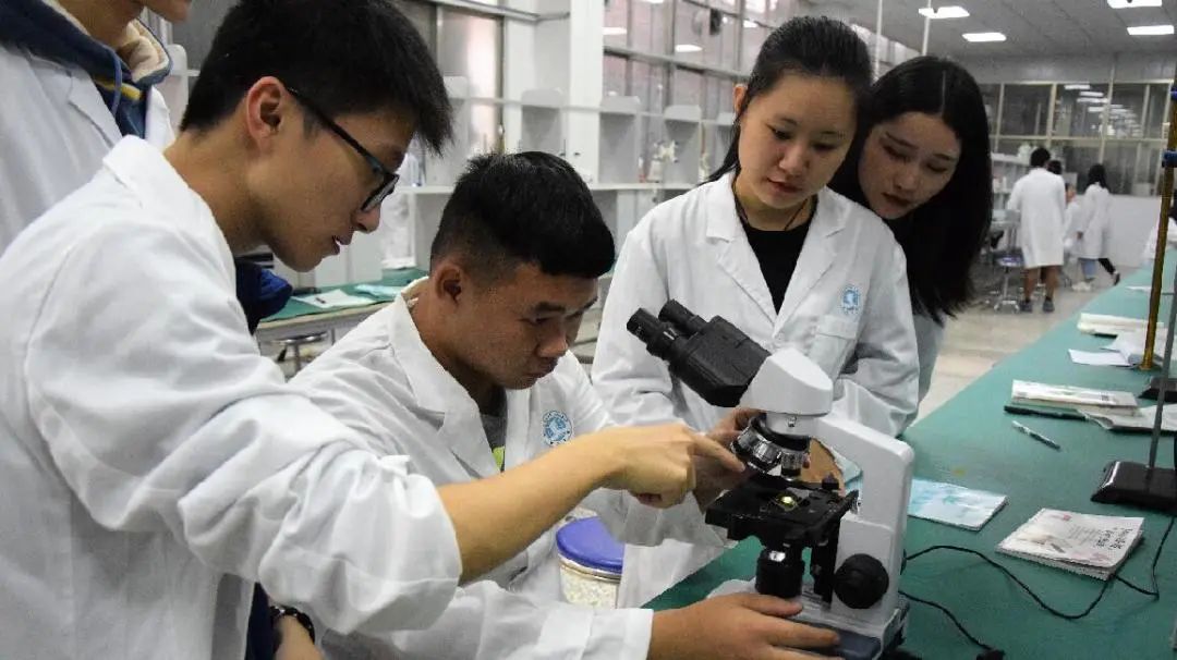 广东中医养生中专学校有哪些-广东技校排名网