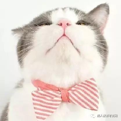 中专怎么报名?有什么用处?-广东技校排名网