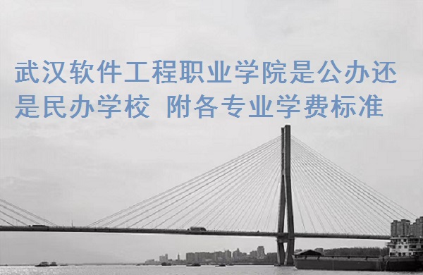 武汉软件工程职业学院是公办还是民办学校 附各专业学费标准!-广东技校排名网