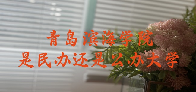 青岛滨海学院是民办还是公办大学?(附各专业收费标准)-广东技校排名网