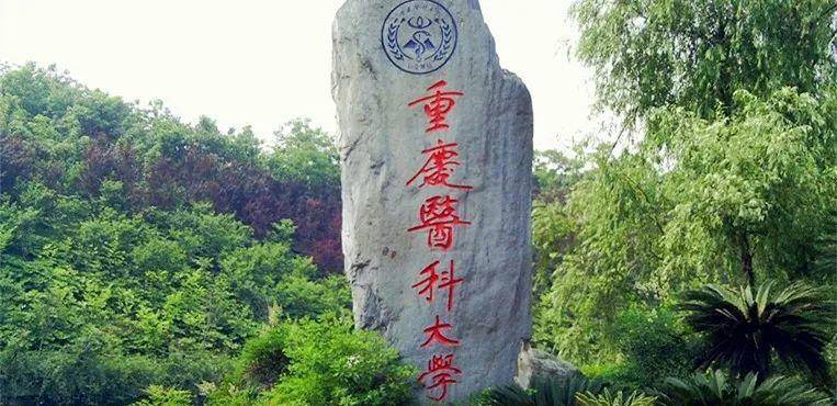 我国医学实力最强的高校是哪几所（附：中国医学专业大学排名榜）-1