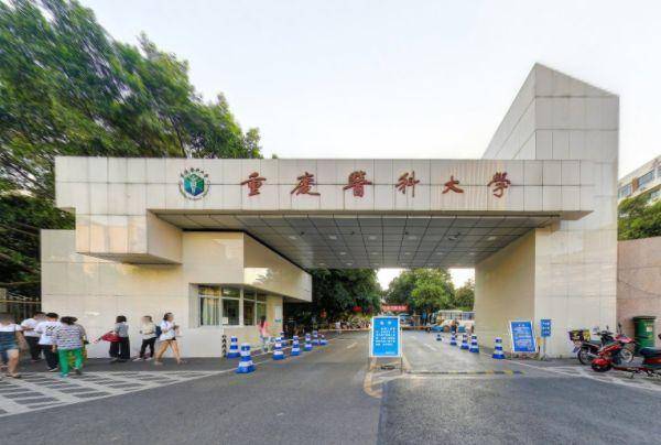 重庆哪些大学是比较好的(附:重庆市高校最新排名)-1 重庆哪些大学是比较好的(附:重庆市高校最新排名)-广东技校排名网