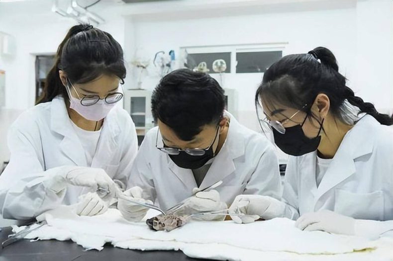 二本大学临床医学专业的发展前景如何(临床医学有没有前途)-1 二本大学临床医学专业的发展前景如何(临床医学有没有前途)-广东技校排名网