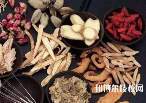 广东新兴中药学校2020年有哪些专业-广东技校排名网