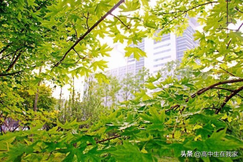 中国石油大学(华东)怎么样(附:招生专业列表)-1 中国石油大学(华东)怎么样(附:招生专业列表)-广东技校排名网