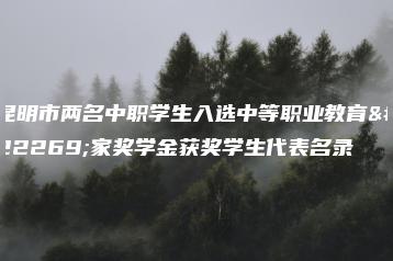 昆明市两名中职学生入选中等职业教育国家奖学金获奖学生代表名录-广东技校排名网