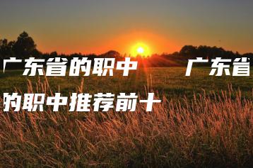 广东省的职中   广东省的职中推荐前十-广东技校排名网