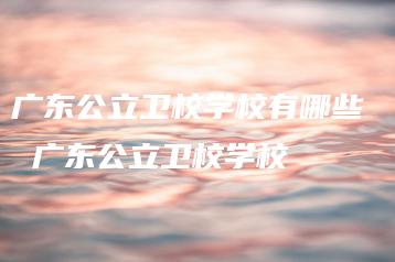 广东公立卫校学校有哪些  广东公立卫校学校-广东技校排名网