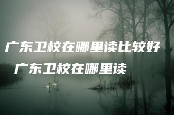 广东卫校在哪里读比较好 广东卫校在哪里读-广东技校排名网