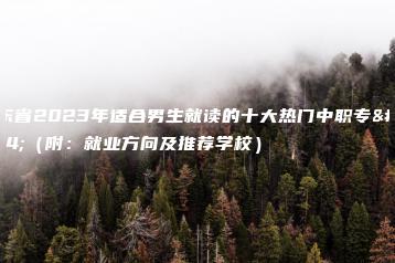 广东省2023年适合男生就读的十大热门中职专业（附：就业方向及推荐学校）-广东技校排名网
