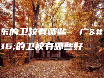 广东的卫校有哪些 广东的卫校有哪些好-广东技校排名网
