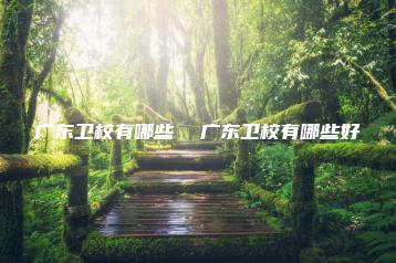 广东卫校有哪些  广东卫校有哪些好-广东技校排名网