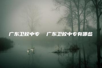 广东卫校中专 广东卫校中专有哪些-广东技校排名网
