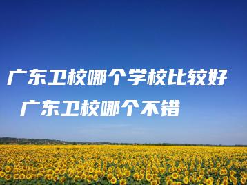 广东卫校哪个学校比较好  广东卫校哪个不错-广东技校排名网