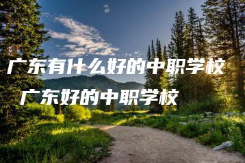 广东有什么好的中职学校 广东好的中职学校-广东技校排名网