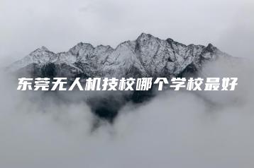 东莞无人机技校哪个学校最好-广东技校排名网