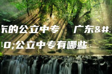 广东的公立中专 广东的公立中专有哪些-广东技校排名网