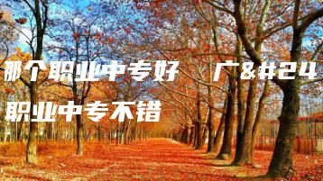 广州哪个职业中专好  广州哪个职业中专不错-广东技校排名网