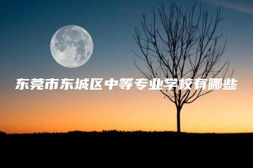 东莞市东城区中等专业学校有哪些-广东技校排名网