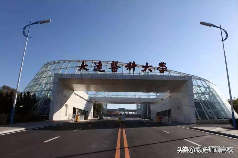 辽宁省哪些医药类院校综合实力比较强(附:辽宁本科大学排名榜)-1 辽宁省哪些医药类院校综合实力比较强(附:辽宁本科大学排名榜)-广东技校排名网