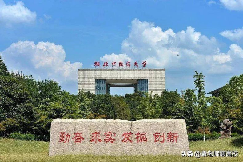 武汉市哪些二本大学比较好(附:武汉二本院校名单)-1 武汉市哪些二本大学比较好(附:武汉二本院校名单)-广东技校排名网