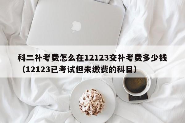 科二补考费怎么在12123交补考费多少钱（12123已考试但未缴费的科目）-广东技校排名网