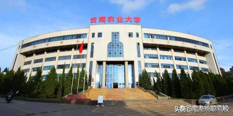 云南省哪些高校最具性价比(附:云南本科大学排名榜)-1 云南省哪些高校最具性价比(附:云南本科大学排名榜)-广东技校排名网