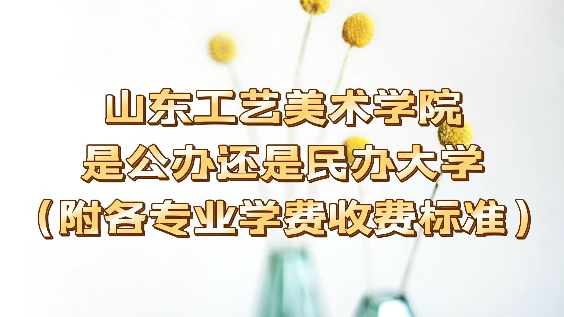 山东工艺美术学院是公办还是民办大学?(附各专业学费收费标准)-广东技校排名网