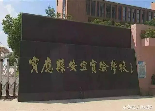 宝应县安宜实验学校2022年最新招生简章(招生对象、及施教区分布图)-广东技校排名网