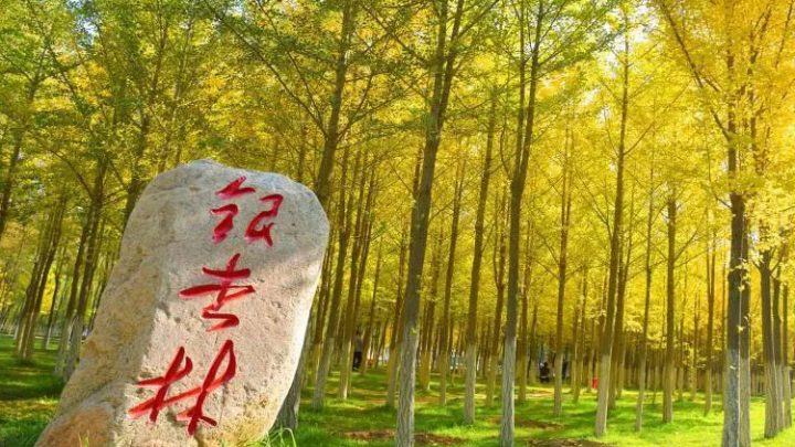 兰州理工大学本科招生章程2022年最新(招生计划+录取规则+收费标准)-广东技校排名网