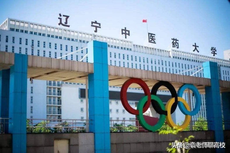 辽宁省哪些医药类院校综合实力比较强(附:辽宁本科大学排名榜)-1 辽宁省哪些医药类院校综合实力比较强(附:辽宁本科大学排名榜)-广东技校排名网